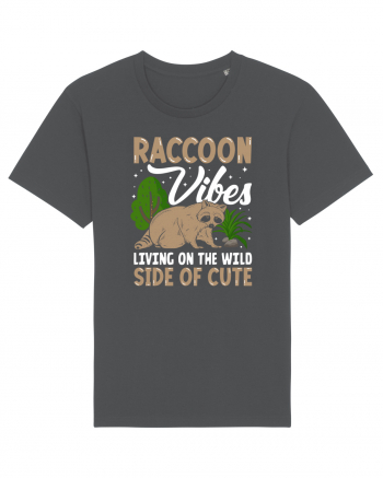 Raccoon vibes living on the wild side of cute Anthracite