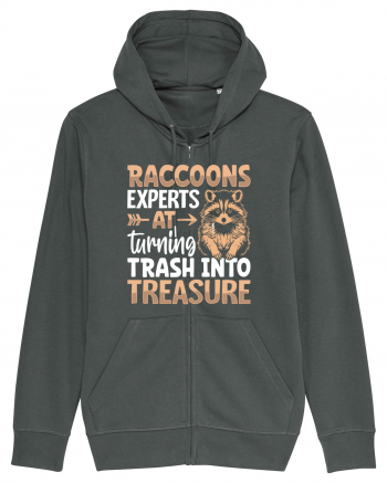 Raccoons experts at turning trash into treasure Anthracite