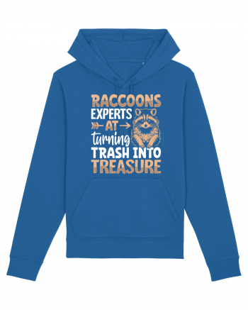 Raccoons experts at turning trash into treasure Royal Blue