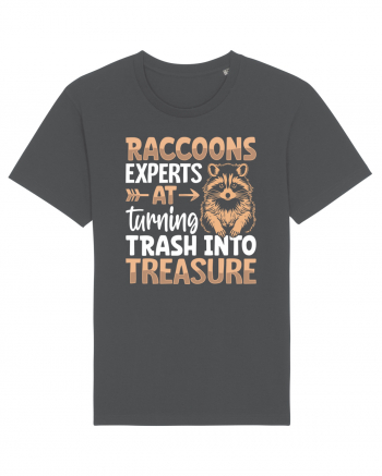 Raccoons experts at turning trash into treasure Anthracite