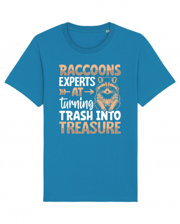 Raccoons experts at turning trash into treasure Azur