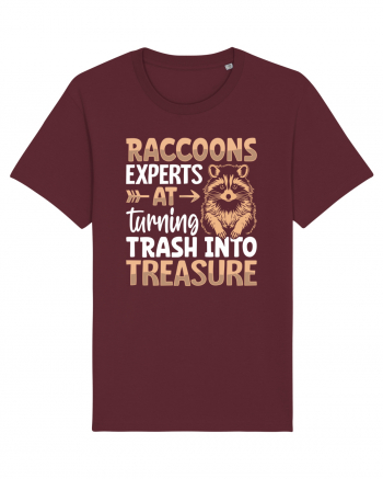 Raccoons experts at turning trash into treasure Burgundy