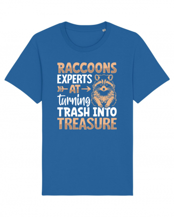 Raccoons experts at turning trash into treasure Royal Blue