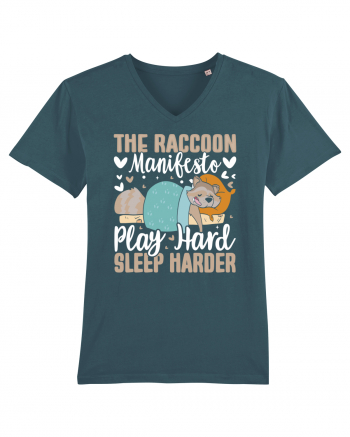 The raccoon manifesto, Play hard, Sleep harder Stargazer