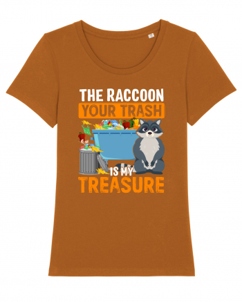 The raccoon your trash is my treasure Roasted Orange