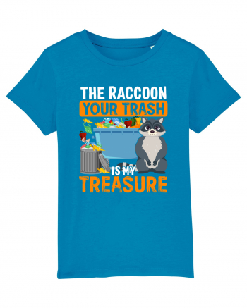 The raccoon your trash is my treasure Azur