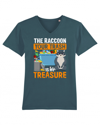 The raccoon your trash is my treasure Stargazer