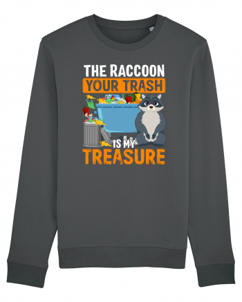 The raccoon your trash is my treasure Anthracite