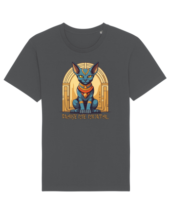 PRAISE ME, MORTAL!- PISICA SFINX 2 Anthracite