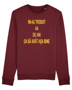 ANIVERSARE 44 DE ANI  Bluză mânecă lungă Unisex Rise