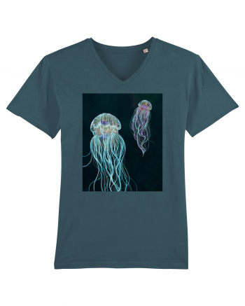 Jellyfish Stargazer