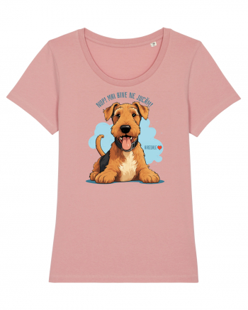 NUP! MAI BINE NE JUCAM! - AIREDALE TERRIER Canyon Pink