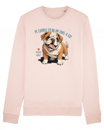 PE CUVANT CA N-AM TRAS-O EU! - BULLDOG ENGLEZ Candy Pink