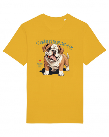 PE CUVANT CA N-AM TRAS-O EU! - BULLDOG ENGLEZ Spectra Yellow