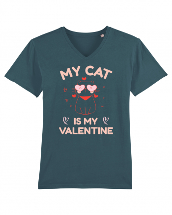 My Cat Is My Valentine Stargazer