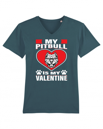 My Pitbull Is My Valentine Stargazer