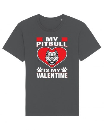 My Pitbull Is My Valentine Anthracite