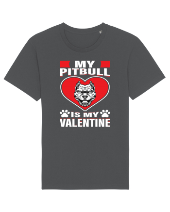 My Pitbull Is My Valentine Anthracite