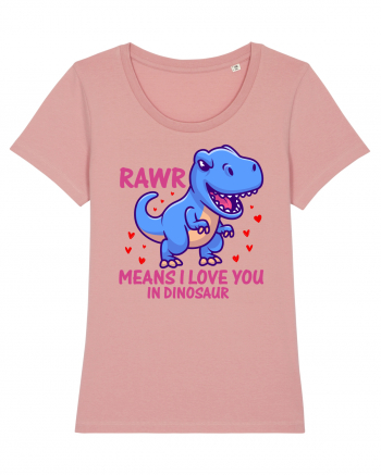 Rawr Means I Love You In Dinosaur Canyon Pink
