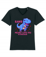 Rawr Means I Love You In Dinosaur Tricou mânecă scurtă guler V Bărbat Presenter