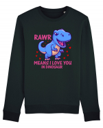 Rawr Means I Love You In Dinosaur Bluză mânecă lungă Unisex Rise