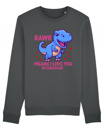 Rawr Means I Love You In Dinosaur Anthracite