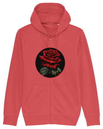 Trandafir rose vintage Carmine Red