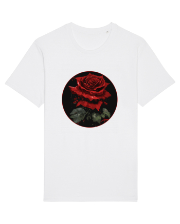 Trandafir rose vintage White