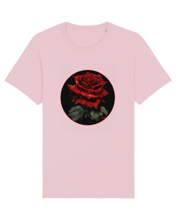 Trandafir rose vintage Cotton Pink