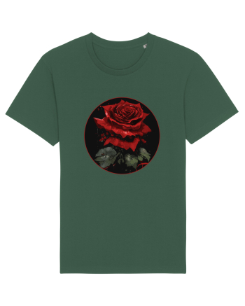 Trandafir rose vintage Bottle Green