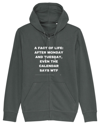 A fact of life: Anthracite