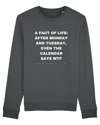 A fact of life: Anthracite