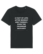 A fact of life: Tricou mânecă scurtă Unisex Rocker