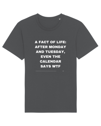 A fact of life: Anthracite