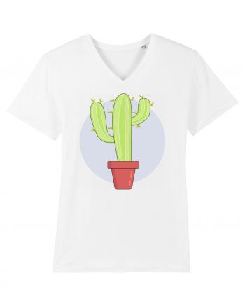 Cactus White