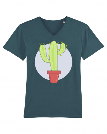 Cactus Stargazer