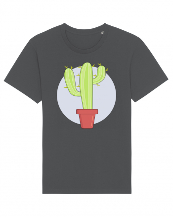 Cactus Anthracite