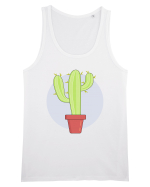 Cactus Maiou Bărbat Runs