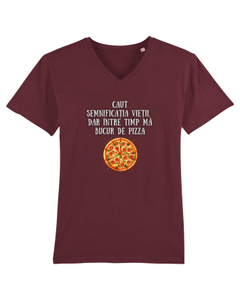 CAUT SEMNIFICAȚIA VIEȚII - PIZZA Burgundy