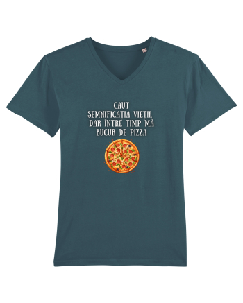 CAUT SEMNIFICAȚIA VIEȚII - PIZZA Stargazer