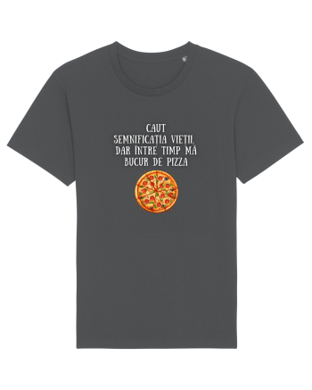 CAUT SEMNIFICAȚIA VIEȚII - PIZZA Anthracite