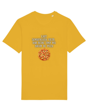 CAUT SEMNIFICAȚIA VIEȚII - PIZZA Spectra Yellow