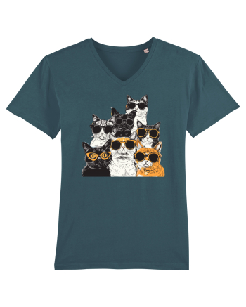 Cool Cat Squad Stargazer