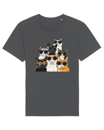 Cool Cat Squad Anthracite