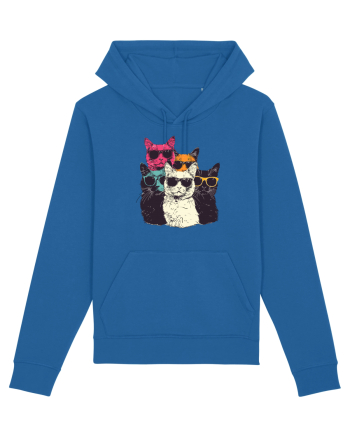 Pisici cool Royal Blue