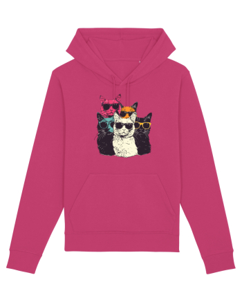 Pisici cool Raspberry
