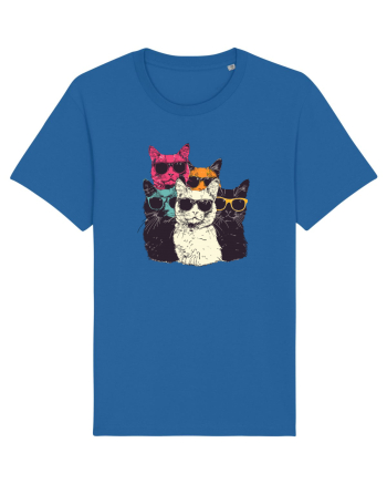 Pisici cool Royal Blue