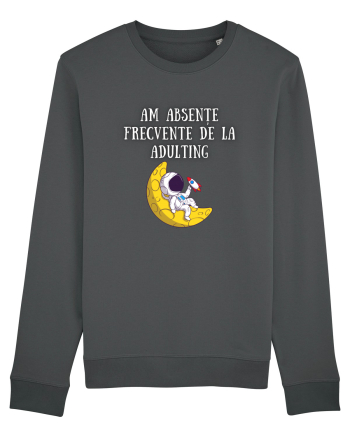 ABSENT DE LA ADULTING Anthracite