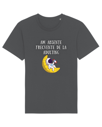 ABSENT DE LA ADULTING Anthracite