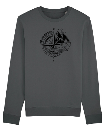 Find your true north Anthracite